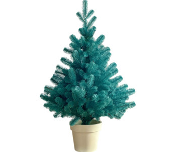 Ялинка лита в горщику Преміум блакитна
