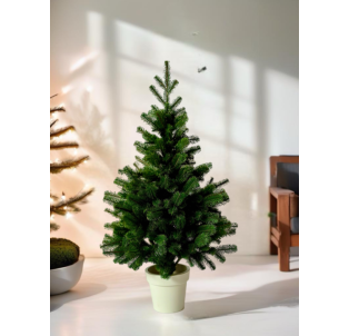 Ялинка лита в горщику Преміум зелена